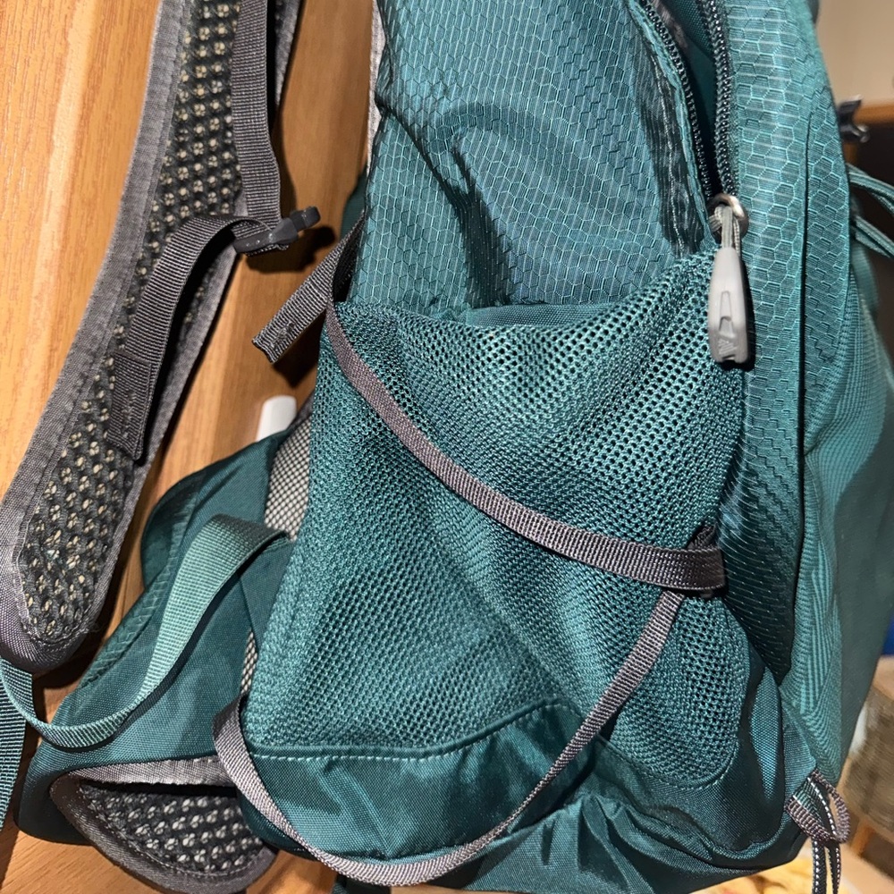 Gregory Juno 30 Backpack in the color Emerald Green - Picture 9 of 13